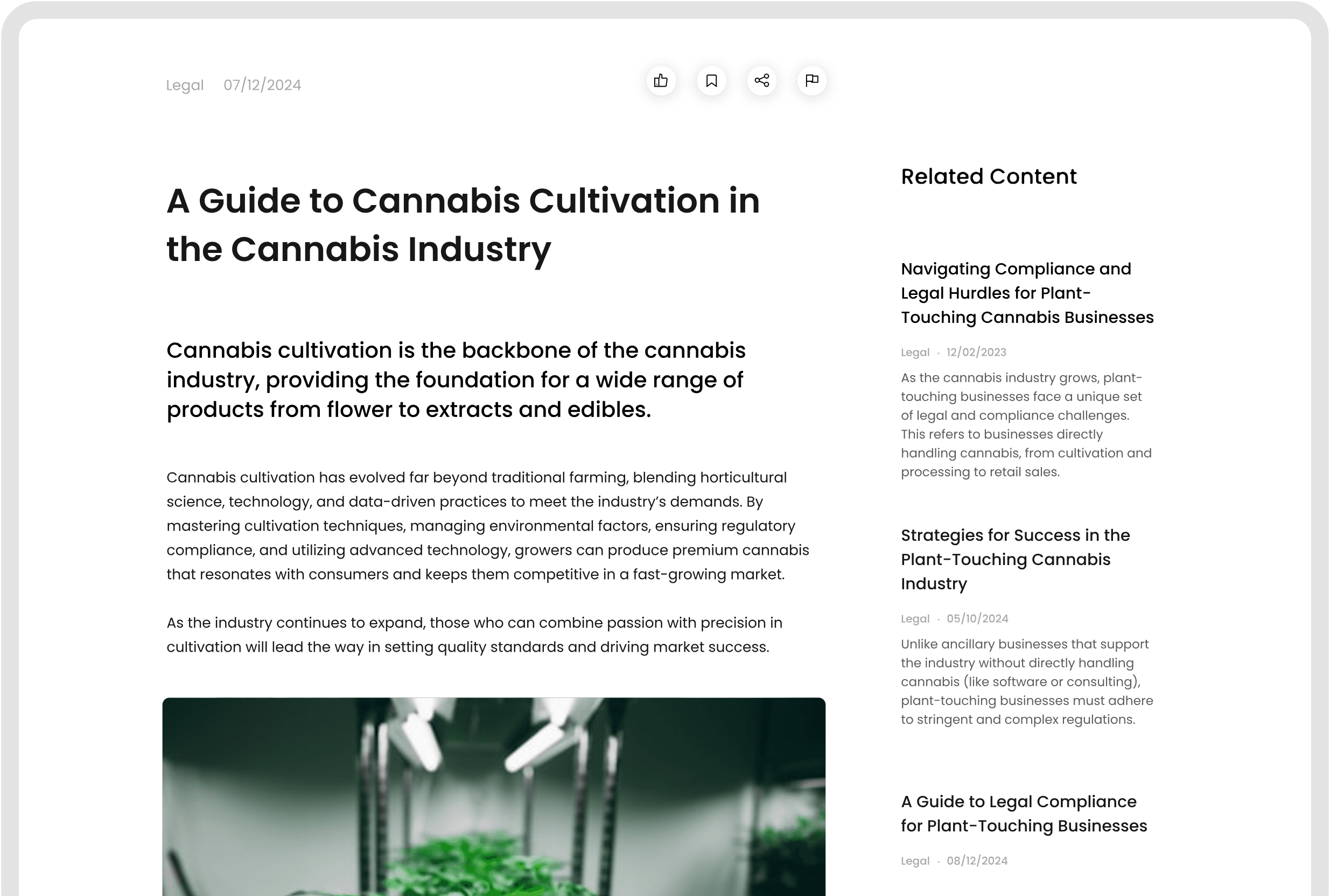 article